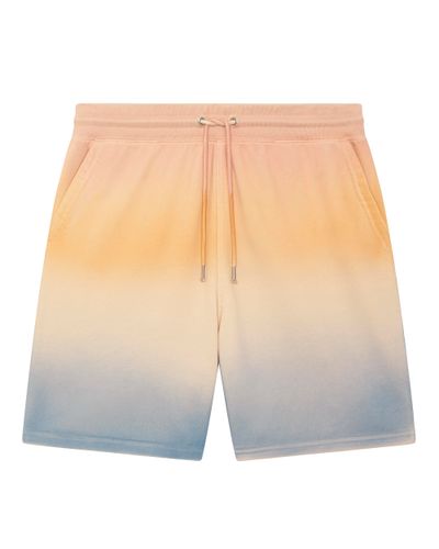 Trainer Ombre
