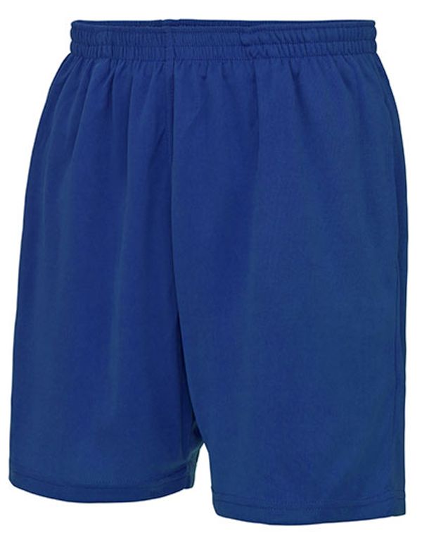 couleur Royal Blue