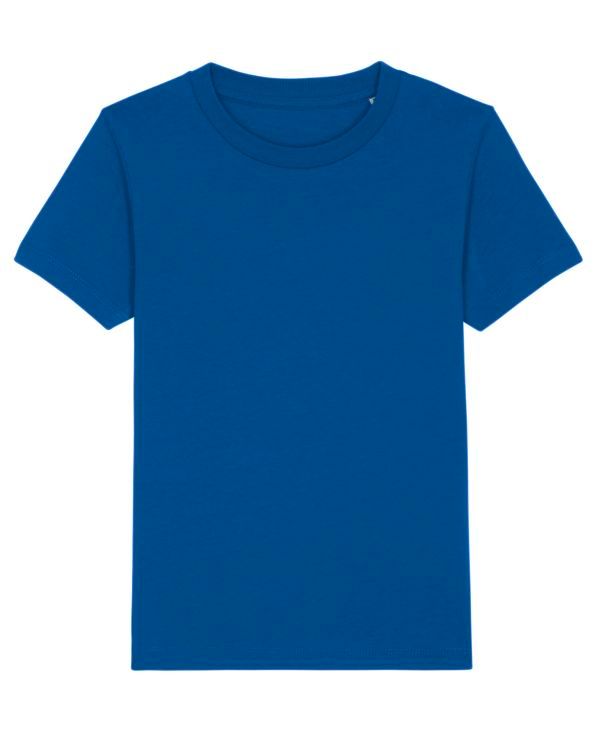 couleur Majorelle Blue