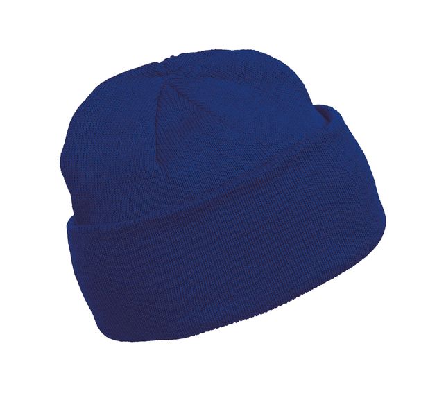 couleur Royal Blue
