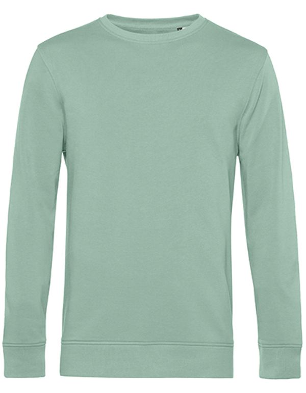 couleur Sage