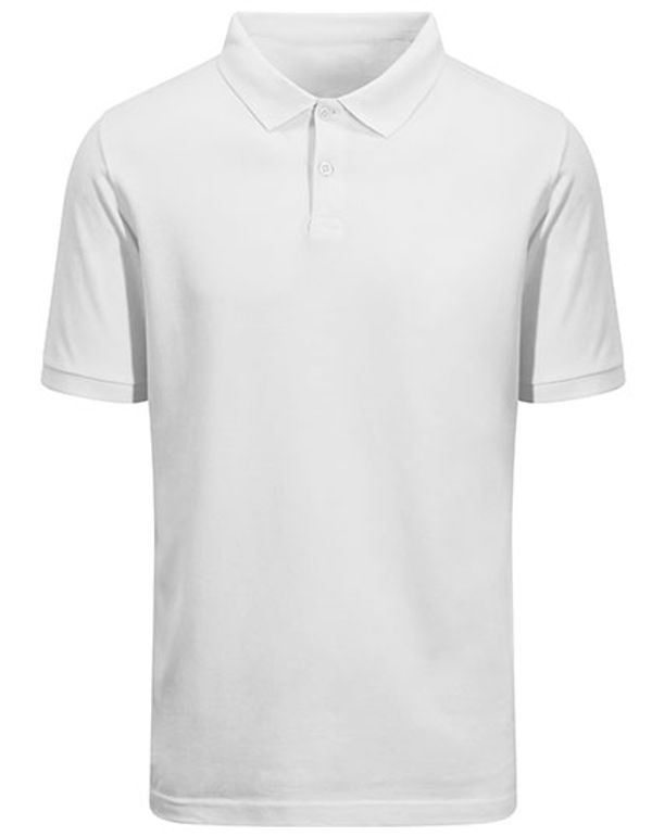couleur Arctic White