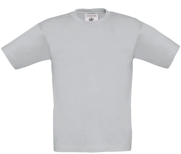 couleur Pacific Grey