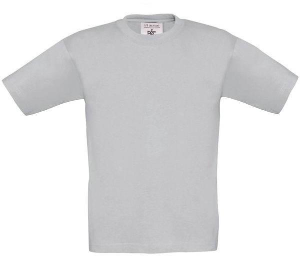 couleur Pacific Grey