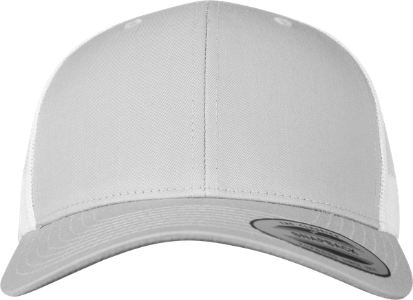 couleur SILVER / WHITE