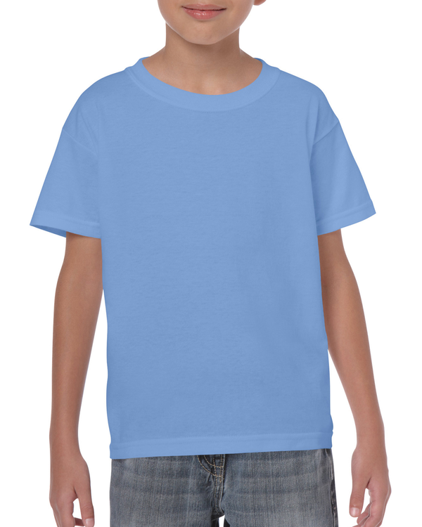 couleur Carolina Blue (x72)
