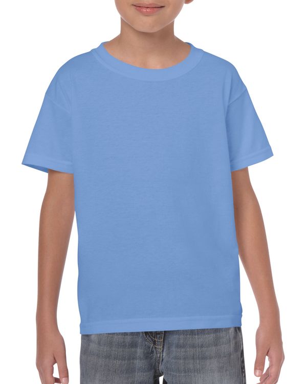 couleur Carolina Blue (x72)