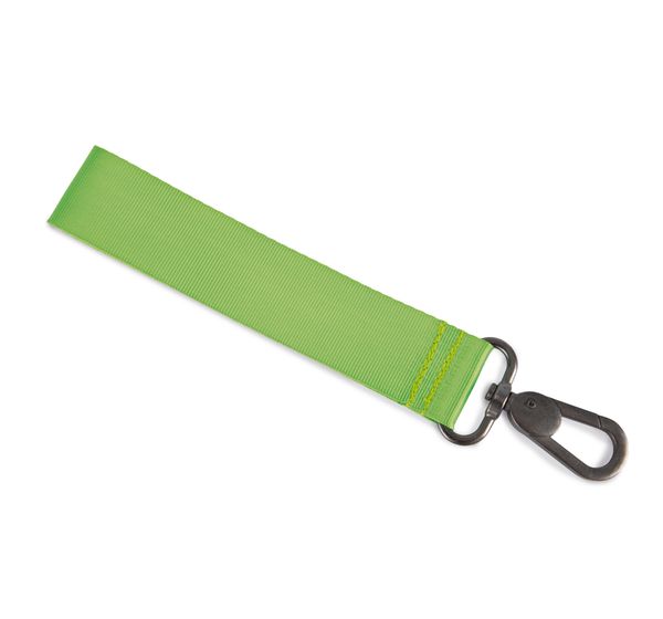 couleur Lime