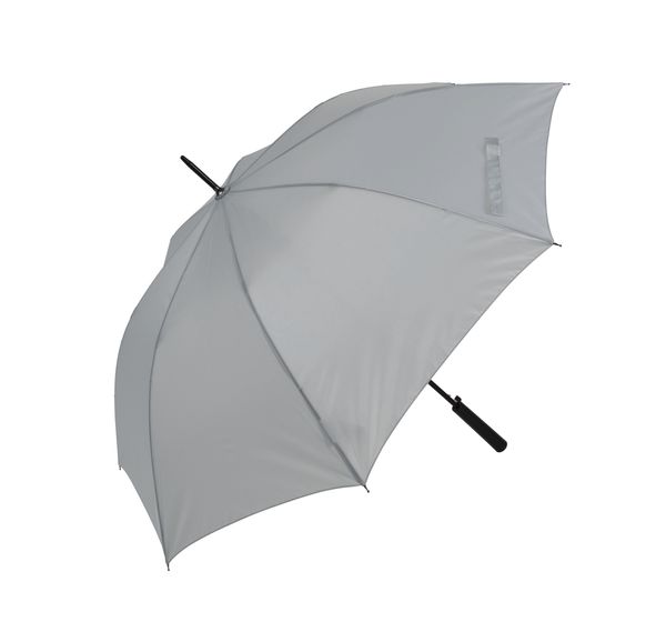 couleur Snow Grey