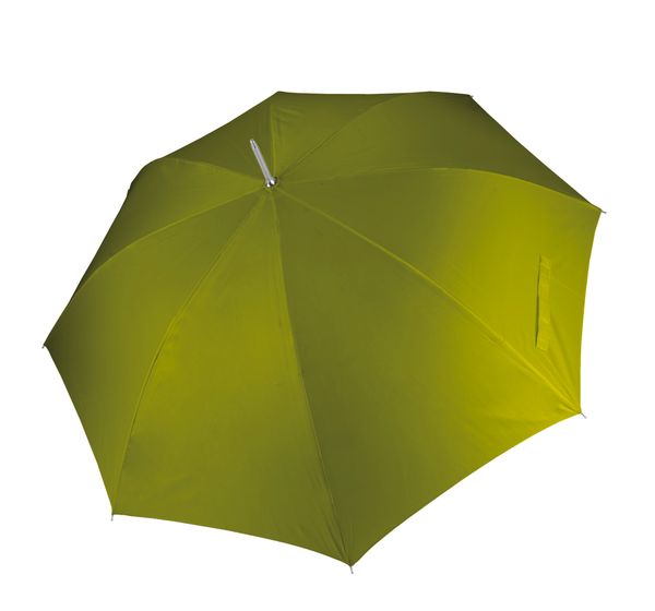 couleur Burnt Lime
