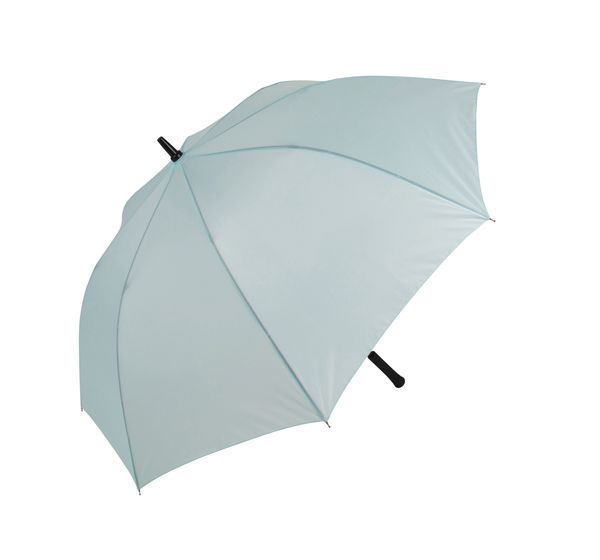 couleur Ice Mint