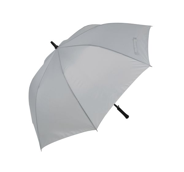 couleur Snow Grey