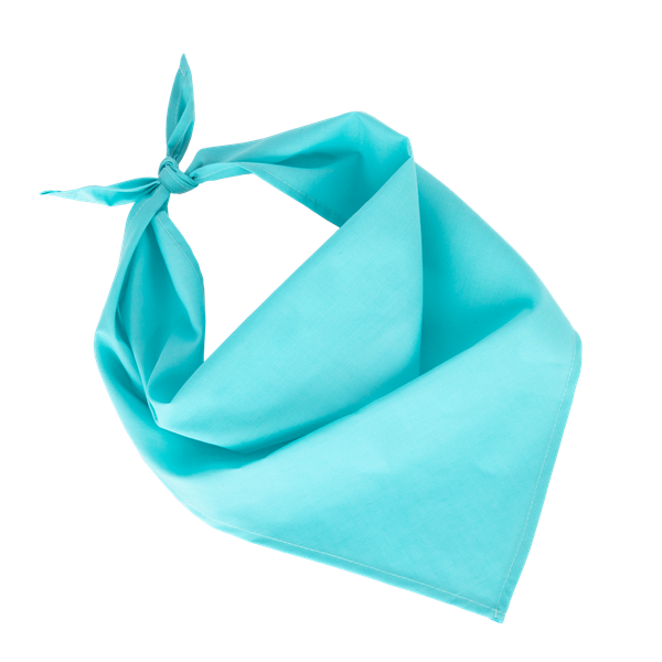 Fiesta - Bandana Calypso Blue K-up