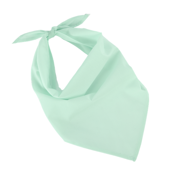 Fiesta - Bandana Frost Green K-up