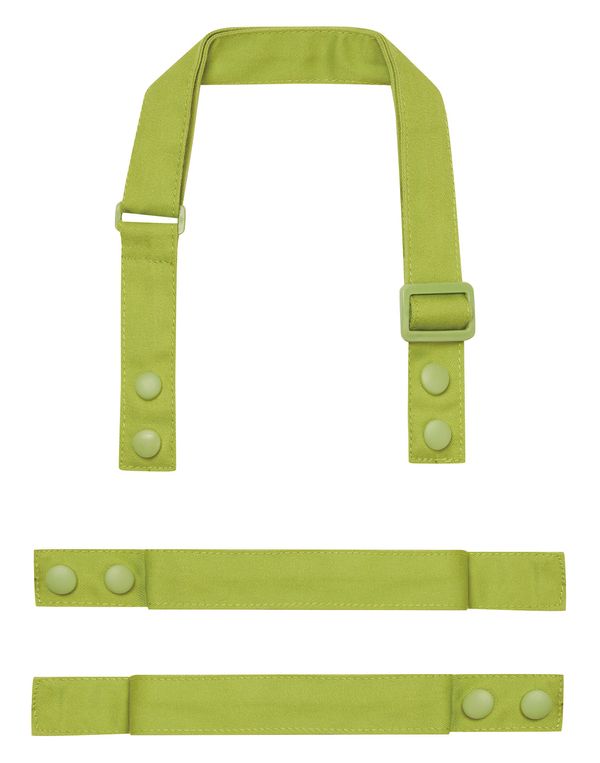 couleur Lime