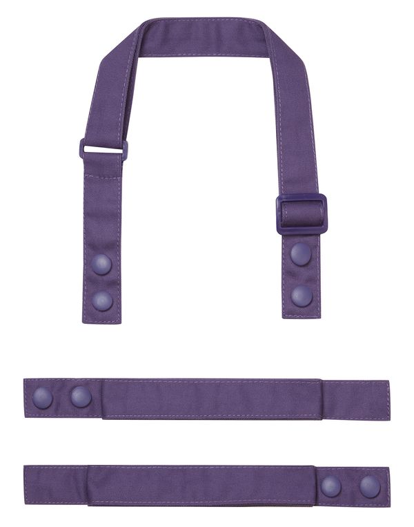 couleur Purple