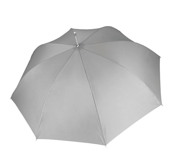 couleur Silver