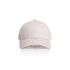 Icon Trucker Cap BONE AS Colour
