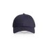 Icon Trucker Cap NAVY AS Colour