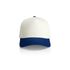 Frame Two-Tone Cap NATURAL/LIBERTY AS Colour