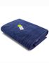 couleur French Navy