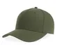 couleur Olive Green