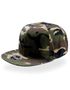 couleur Camouflage