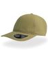 couleur Olive