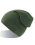couleur Olive