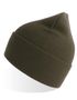 couleur Olive
