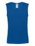 couleur Royal Blue