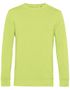 couleur Lime
