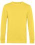 couleur Yellow Fizz