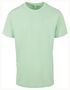 couleur Neo Mint