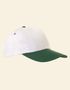 couleur Dark Green / White