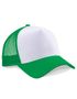 couleur Pure Green / White