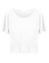 couleur Arctic White