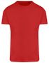 couleur Fire Red