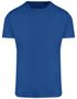 couleur Royal Blue