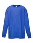 couleur Royal Blue