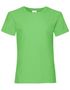 couleur Lime
