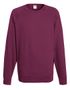 couleur Burgundy