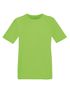 couleur Lime