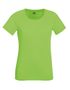 couleur Lime