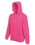 couleur Fuchsia