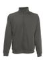 couleur Light Graphite (Solid)