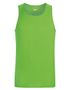 couleur Lime