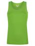 couleur Lime