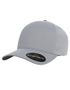 couleur Silver