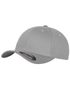 couleur Silver